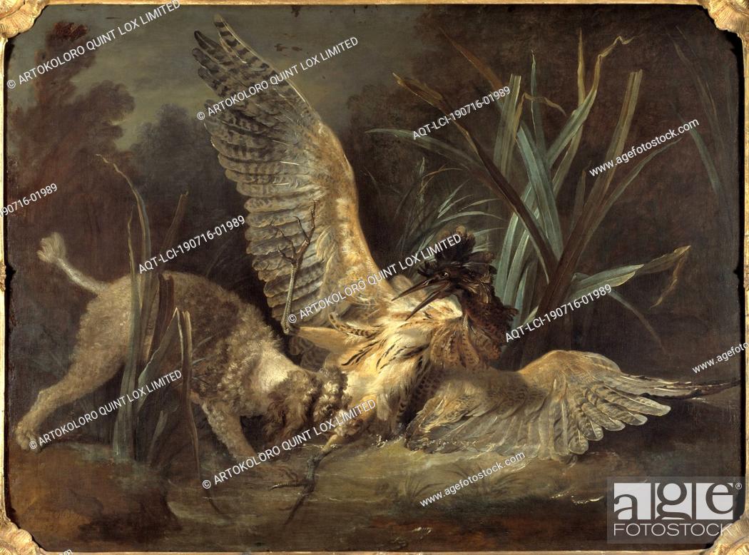 Stock Photo: Jean-Baptiste Oudry, Spaniel Seizing a Bittern, Poodle in battle with drumming, painting, 1725, oil on canvas, Height, 97 cm (38.