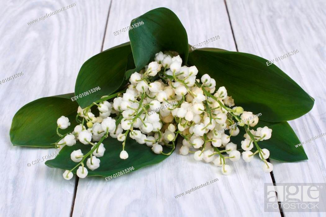 Stock Photo: Bouquet of lilies of the valley.