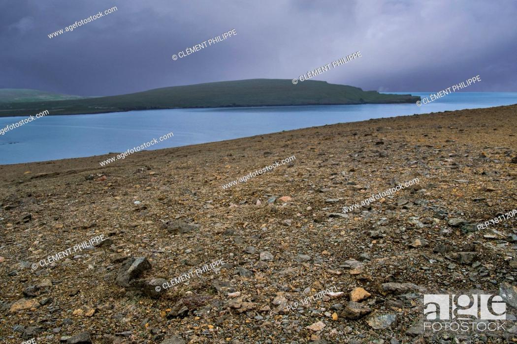 Imagen: Barren landscape showing serpentine debris at the Keen of Hamar nature reserve, Unst, Shetland Islands, Scotland, UK.