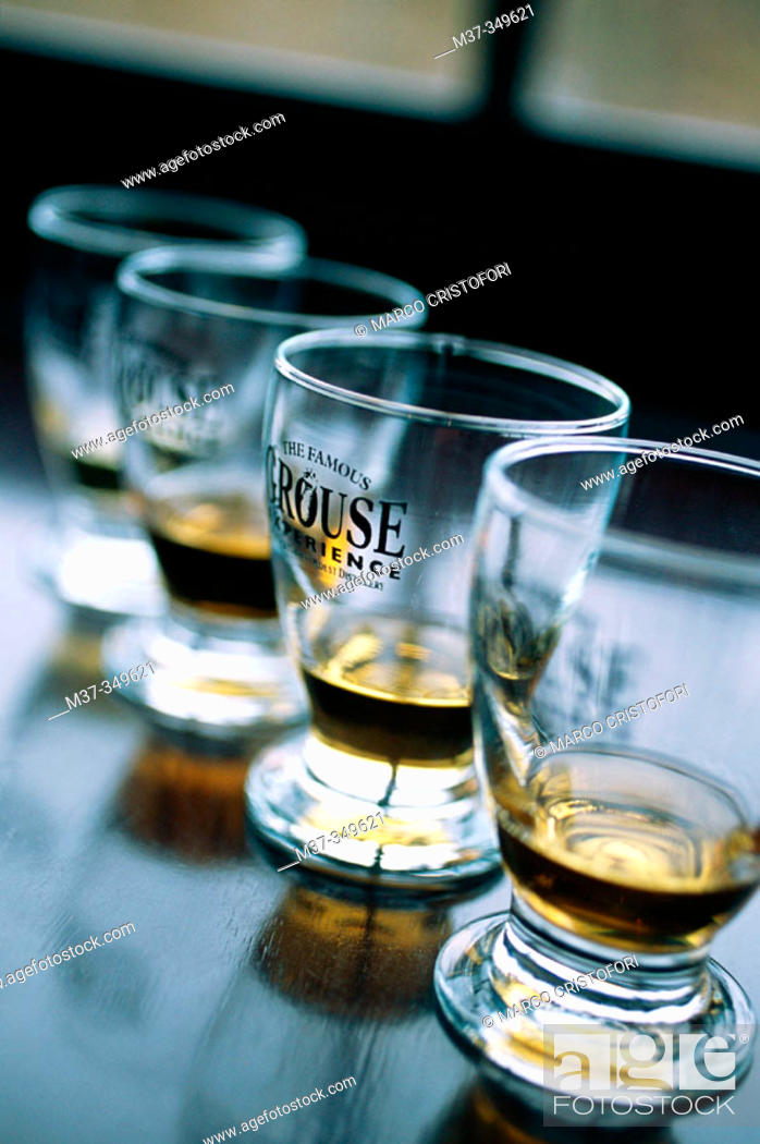 Stock Photo: Taste of The Famous Grouse blend, produced at Glenturret whisky distillery, from the Edrington group. Scotland. UK.