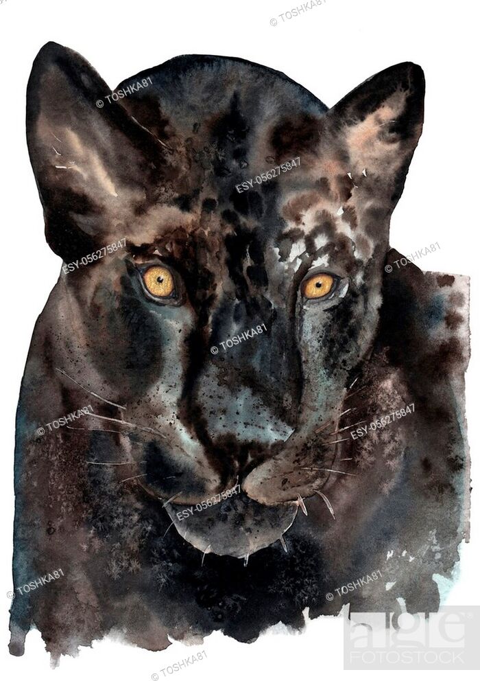 Details more than 137 black jaguar sketch super hot