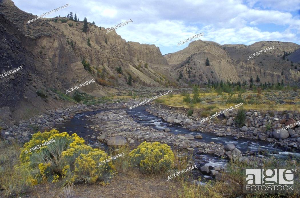Stock Photo: Churn Creek, on the Chilcotin Plateau, is recognized for its high biodiversity and supports a number of rare plants, vertebrates and invertebrates.