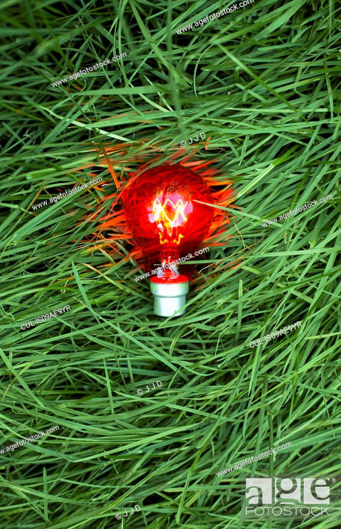 Stock Photo: Still life of red lightbulb on grass.