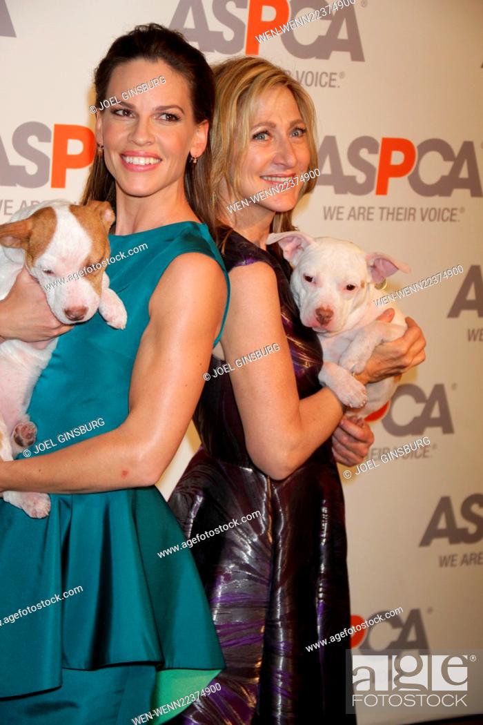 American Society for the Prevention of Cruelty to Animals (ASPCA) hosts the  18th annual Bergh Ball..., Stock Photo, Picture And Rights Managed Image.  Pic. WEN-WENN22374900 | agefotostock