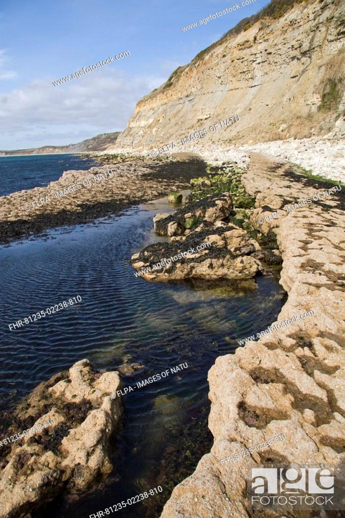 Stock Photo: Geological formations with different strata in cliff face, Osmington, Dorset, England, march.