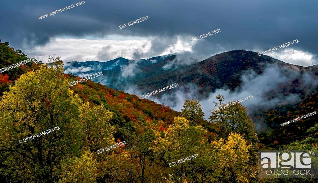 Stock Photo: Great Smoky Mountains National Park.