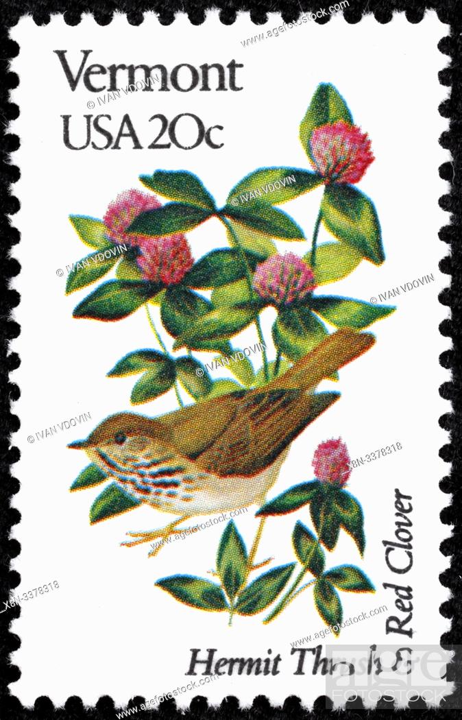 Stock Photo: Vermont, VT, Hermit thrush, Catharus guttatus, Red clover, Trifolium pratense, state bird and flower, postage stamp, USA, 1982.