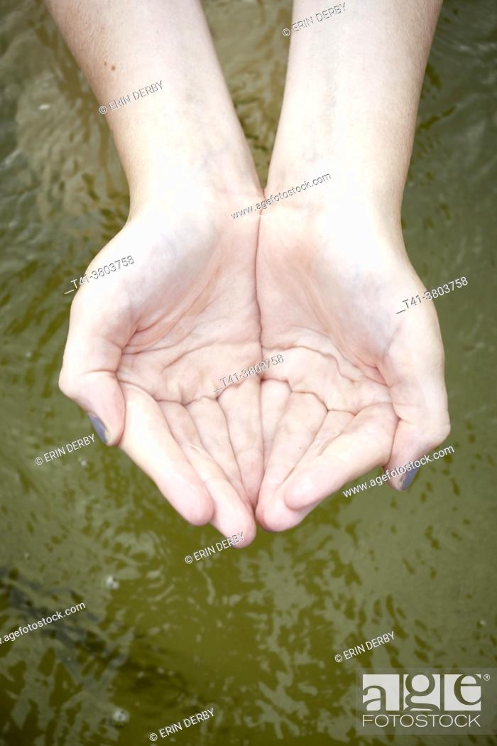 Stock Photo: New Hampshire, People, Summer, Water, Youth, Fun, Sky, Swim, Swimming, Lake, America, Childhood, Innocence, Teenager, Playing, Submerged, Underwater, Fresh, Exploration, Wet, Grey, Distorted, Holding, Dripping, Splash, Freedom, Collect, Collecting, Grasp, Tween
