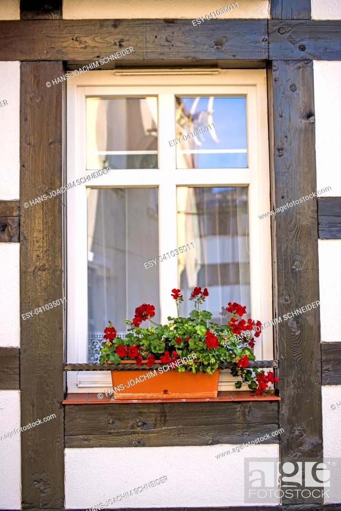 Stock Photo: Window with pretty flowers at a frame house.