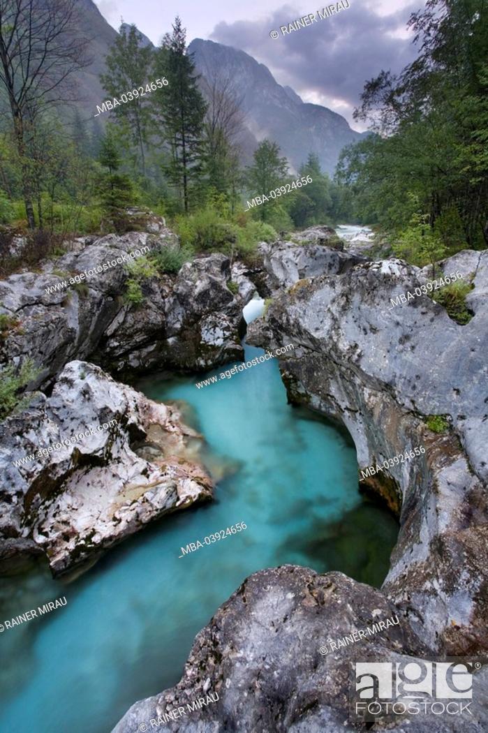 Stock Photo: Slovenia, Triglav, national-park, plants, torrent, landscape.