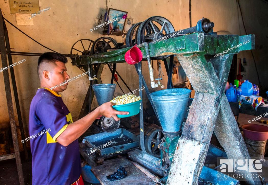 Stock Photo: Salvadoran man work at a Corn tortilla dough factory in Suchitoto El Salvador. Corn has been a staple food in Central American cultures since pre-Columbian.