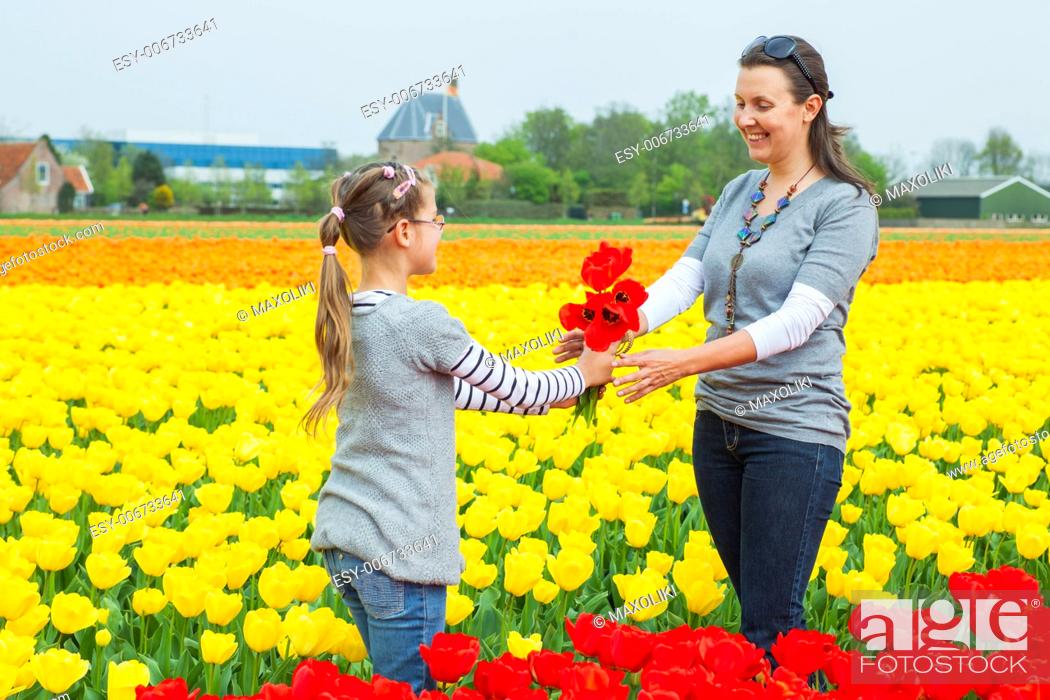 Stock Photo: Girl and her mother with bouquet between of the yellow-red tulips field.