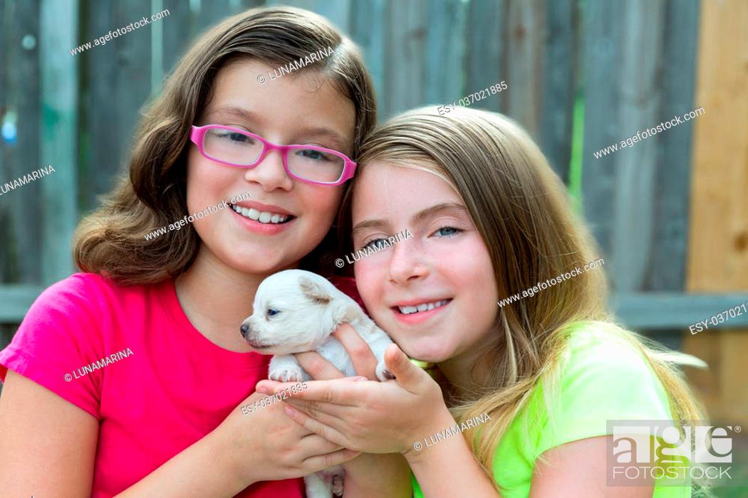 Stock Photo: kid girls playing with puppy pet chihuahua with doggy outdoor.
