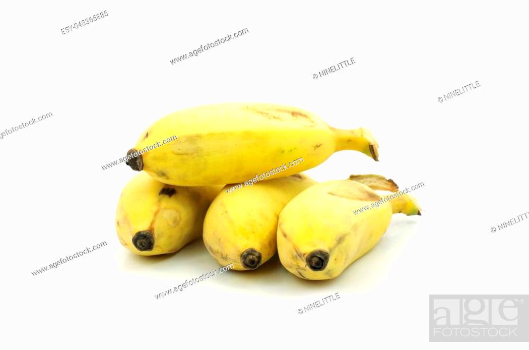 Awak pisang First report