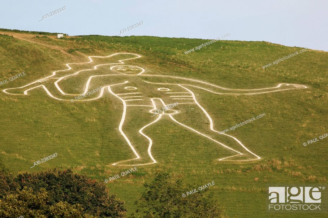 Stock Photo: The Cerne Abbas Giant, also referred to as the Rude Man or the Rude Giant, is a figure of a giant naked man on a hillside near the village of Cerne Abbas to the.