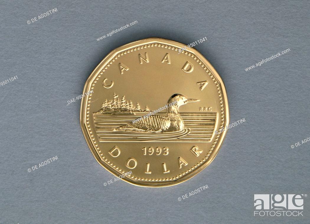 1 dollar coin, 1993, reverse, Great northern loon (Gavia immer)