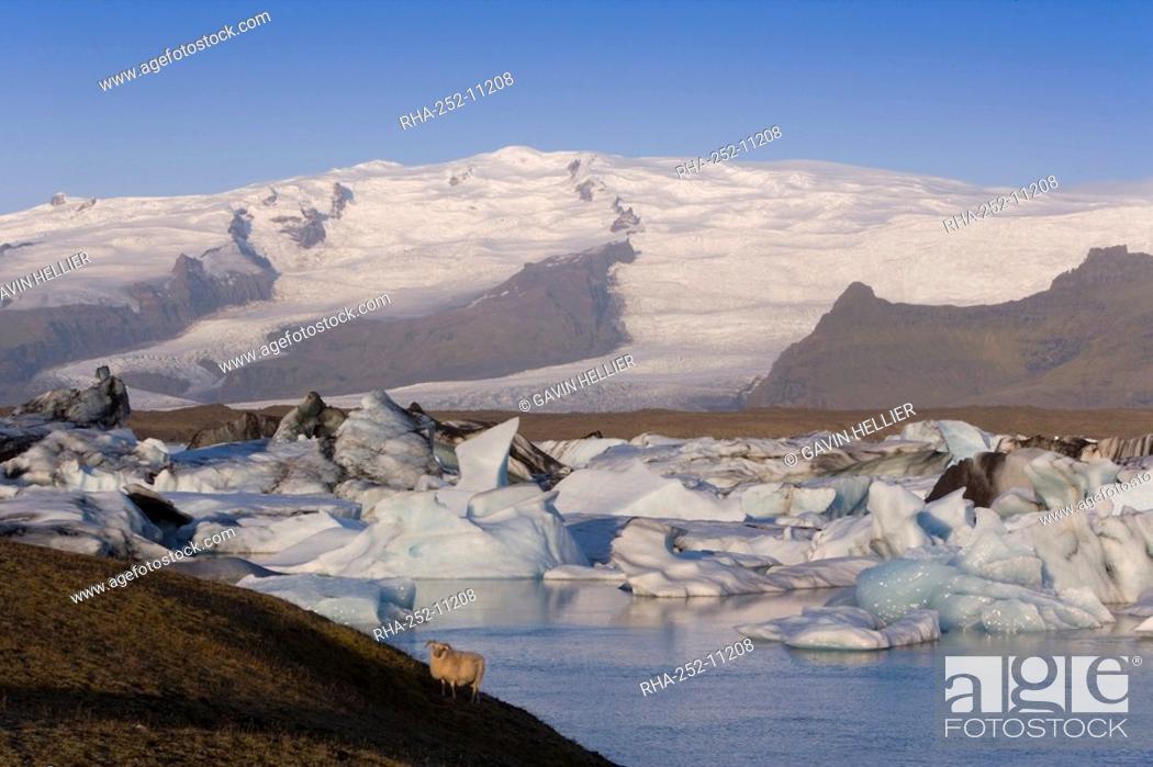 Stock Photo: Icebergs floating in the Lagoon beneath Breidamerkurjokull Glacier, Jokulsarlon Glacial River Lagoon, southern Vatnajokull, southern area, Iceland.