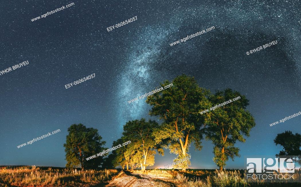 Stock Photo: Panorama Milky Way Galaxy In Night Starry Sky Above Trees In Summer Forest. Glowing Stars Above Landscape. View From Europe.