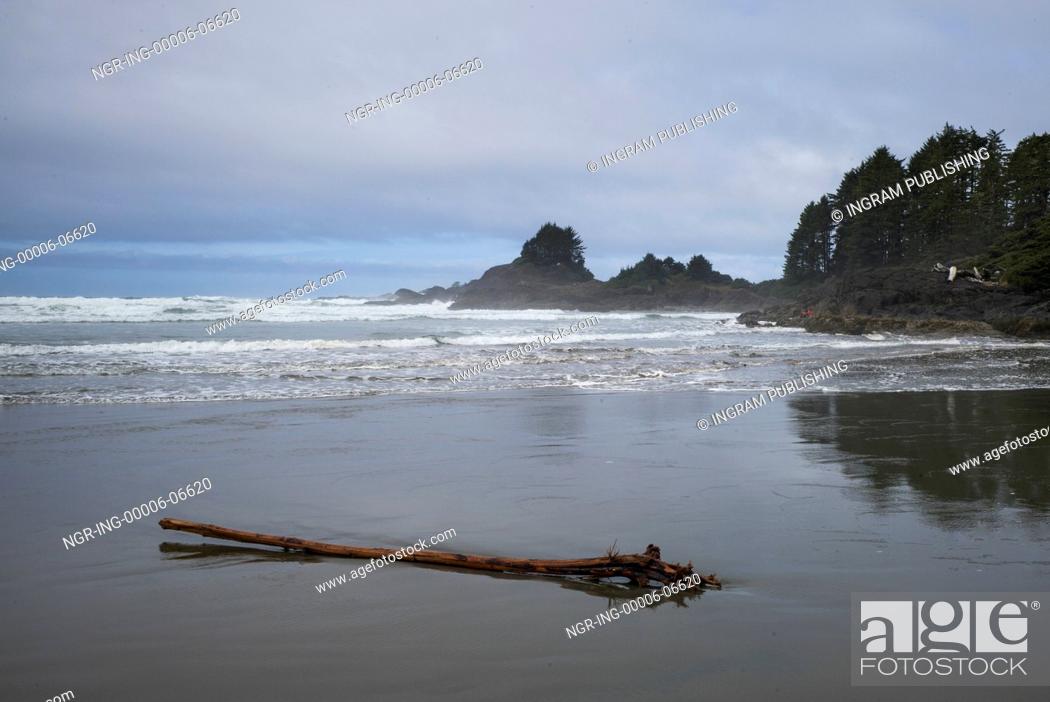 Stock Photo: Driftwood on the beach, Pacific Rim National Park Reserve, British Columbia, Canada.
