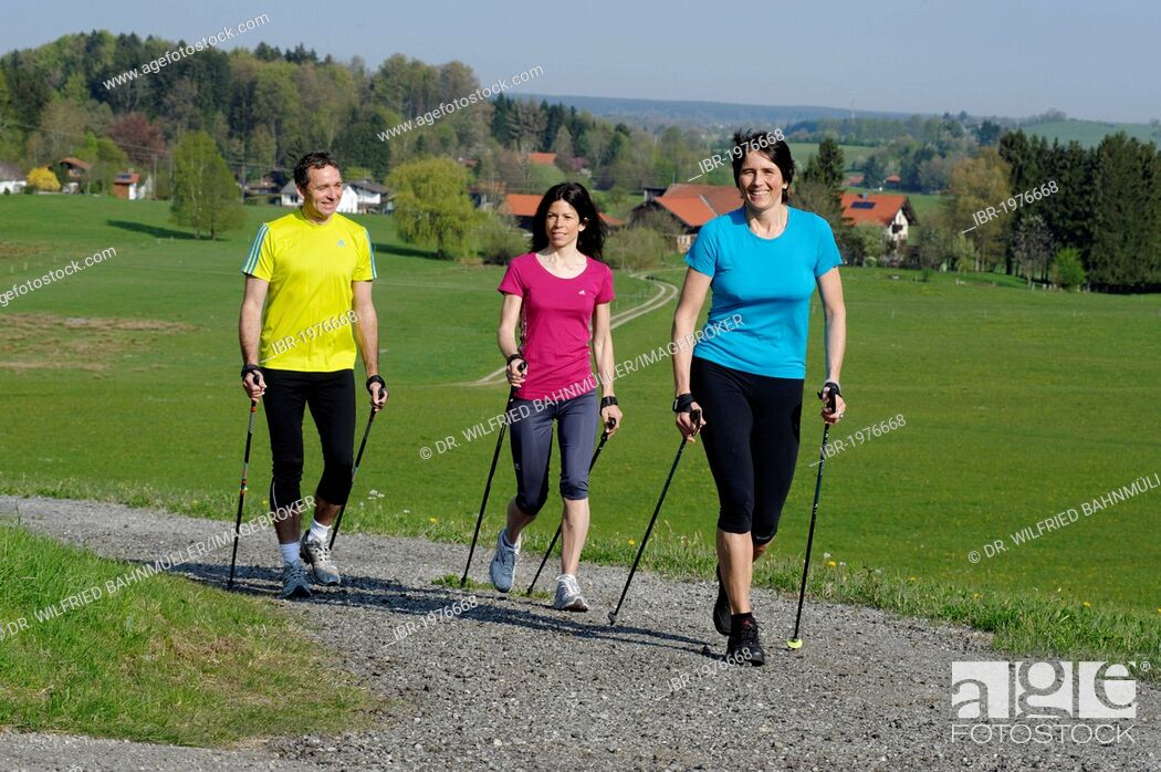 Photo de stock: Nordic walking group with coach near Weyarn, Bavarian Oberland, Bavaria, Germany, Europe.
