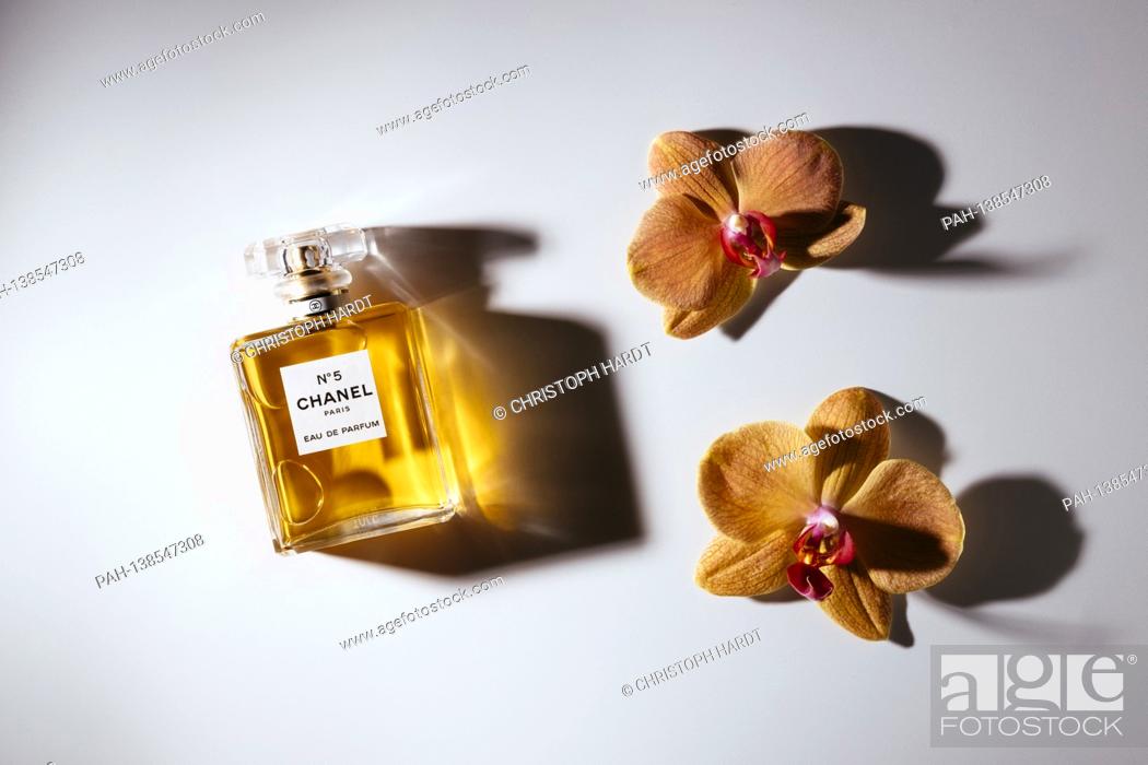 Chanel perfume bottle Stock Photos and Images