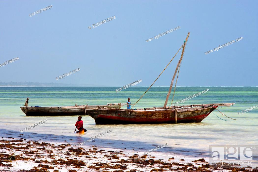 Photo de stock: boat people and seaweed in the blue lagoon relax of zanzibar africa.