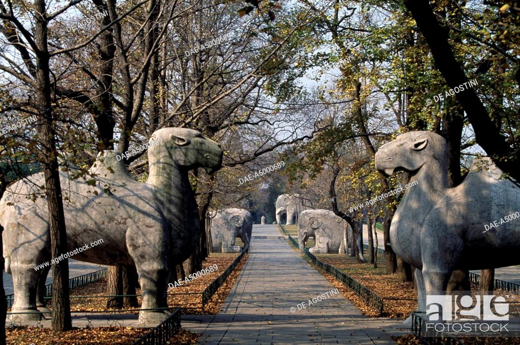 Animals, stone sculptures along spirit way, Ming Xiaoling Mausoleum, Stock  Photo, Picture And Rights Managed Image. Pic. DAE-A5000689 | agefotostock