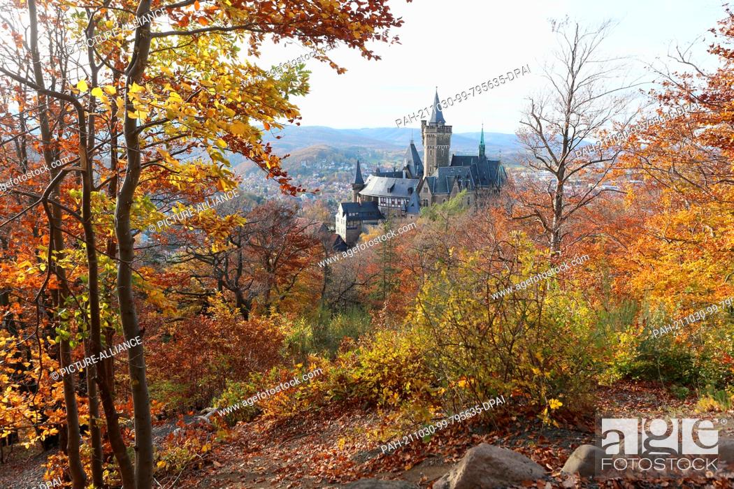 Stock Photo: 29 October 2021, Saxony-Anhalt, Wernigerode: Autumnal colourful woods surround the Wernigerode castle. Photo: Matthias Bein/dpa-Zentralbild/dpa.