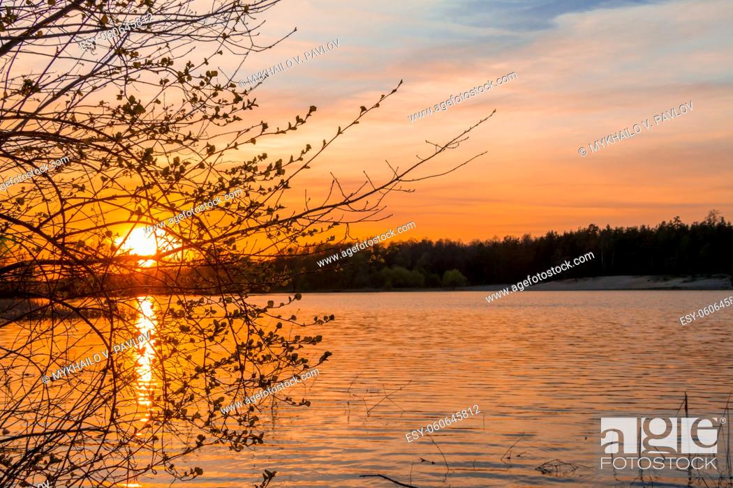 Stock Photo: Summer forest lake. Bush branches with young foliage against the background of the setting sun.