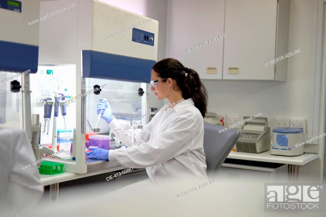 Stock Photo: Female scientist with pipette working at fume hood in laboratory.