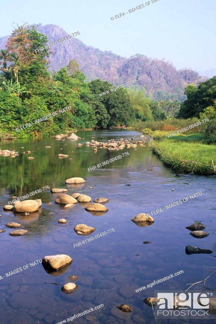 Stock Photo: Stones in river, forested hills, River Kunthi Silent Valley N P , Nilgiri Hills, Western Ghats, Kerala, Southern India.