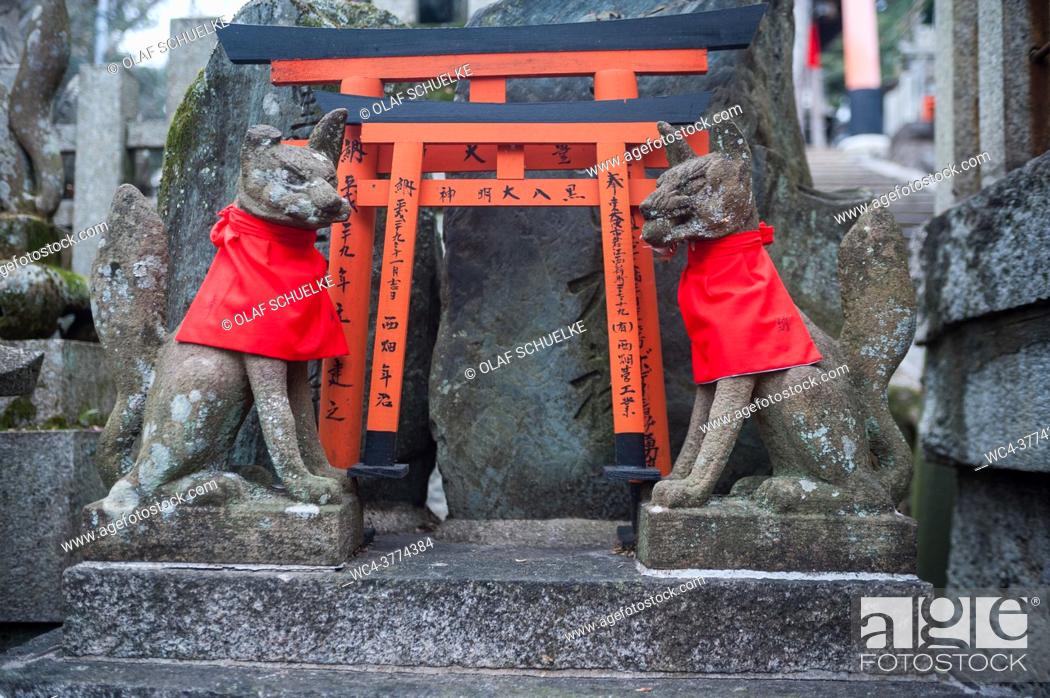 Imagen: Kyoto, Japan, Asia - Stone figures depict Inari Okami, the Japanese fox (Kitsune), deity (Kami) on Mount Inariyama where the Fushimi Inari Taisha.