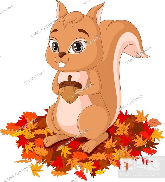 Vector illustration of Cute squirrel cartoon on autumn leaves, Stock  Vector, Vector And Low Budget Royalty Free Image. Pic. ESY-060118721 |  agefotostock