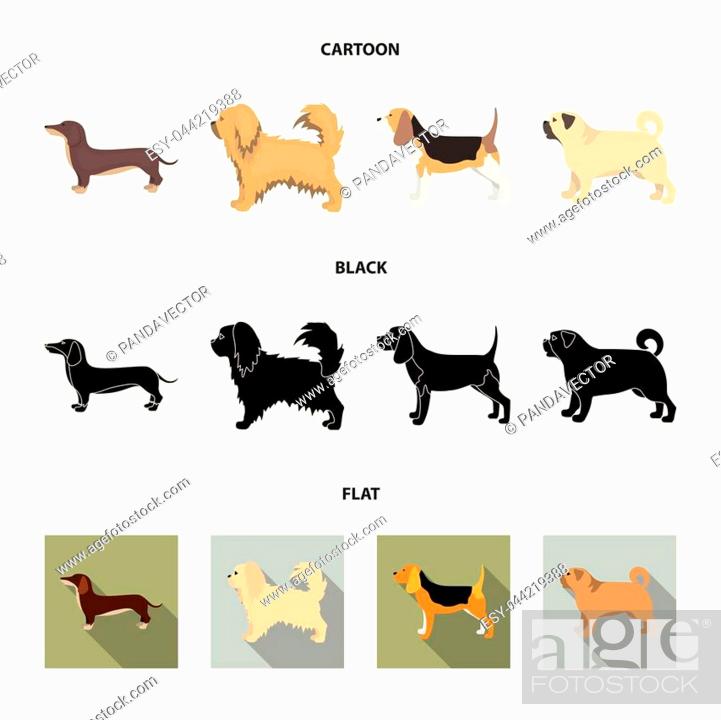 Pikinise, dachshund, pug, peggy. Dog breeds set collection icons in cartoon,  black, Stock Vector, Vector And Low Budget Royalty Free Image. Pic.  ESY-044219388 | agefotostock