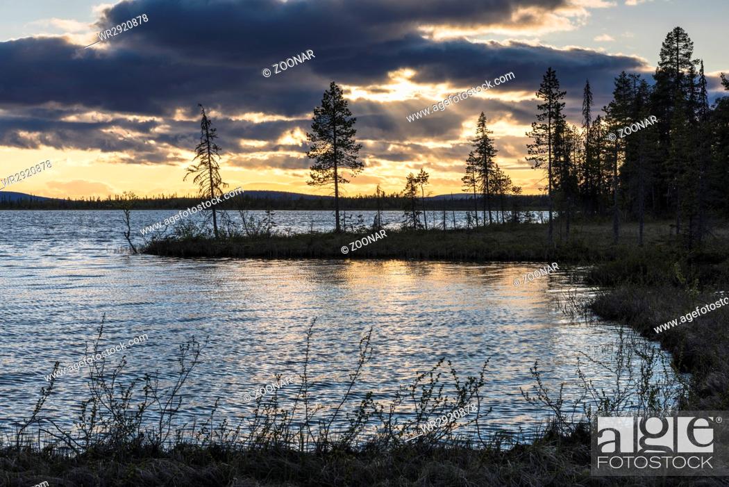 Stock Photo: evening mood beside a lake, Muddus National park, Lapland, Sweden.