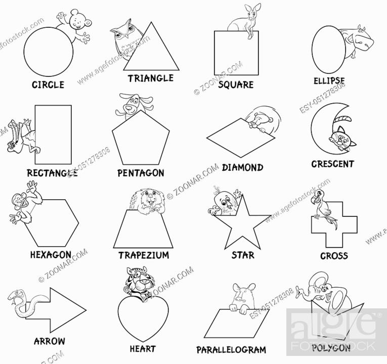 Educational Cartoon Illustration of Basic Geometric Shapes with Captions  and Animal Characters for..., Stock Photo, Picture And Low Budget Royalty  Free Image. Pic. ESY-051278308 | agefotostock