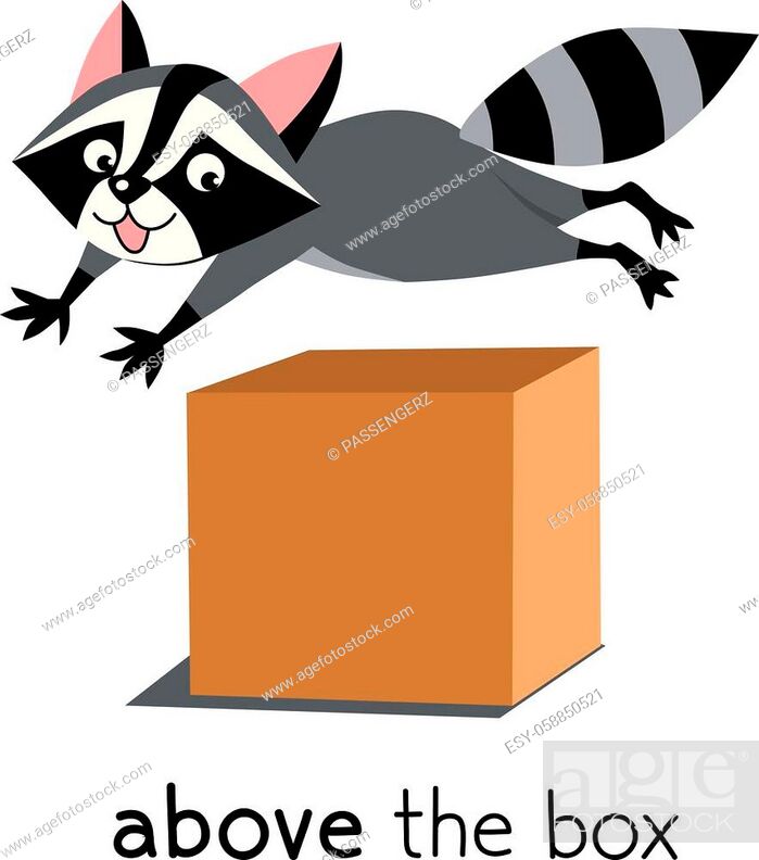 Funny raccoon above the box. Preposition of place for learning english,  Vecteur de Stock, Vecteur et Image Low Budget Royalty Free. Photo  ESY-058850521 | agefotostock