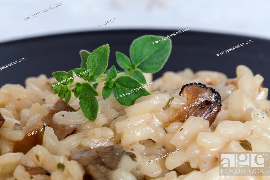 Stock Photo: risotto, truffle risotto.