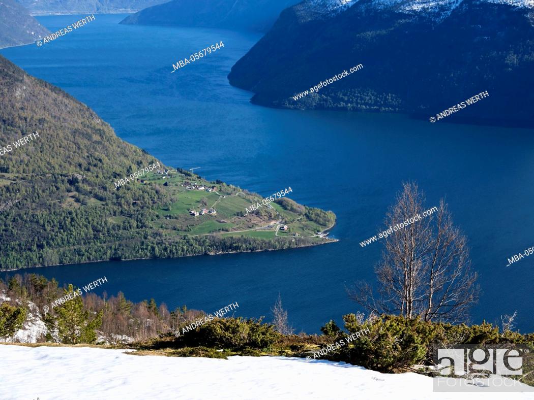 Stock Photo: View from mount Molden, over the Lustrafjord, inner branch of Sognefjord, tongue of land of Urnes, Norways oldest stave church.