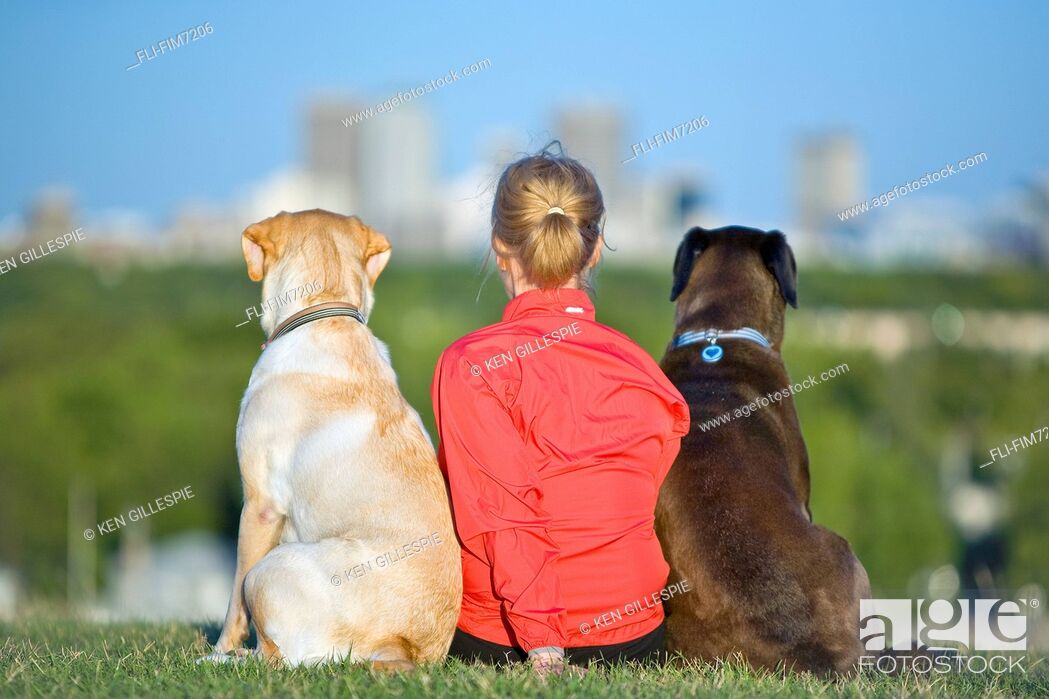 Stock Photo: Woman and two dogs looking out over Winnipeg skyline, from Westview Park, Winnipeg, Manitoba.
