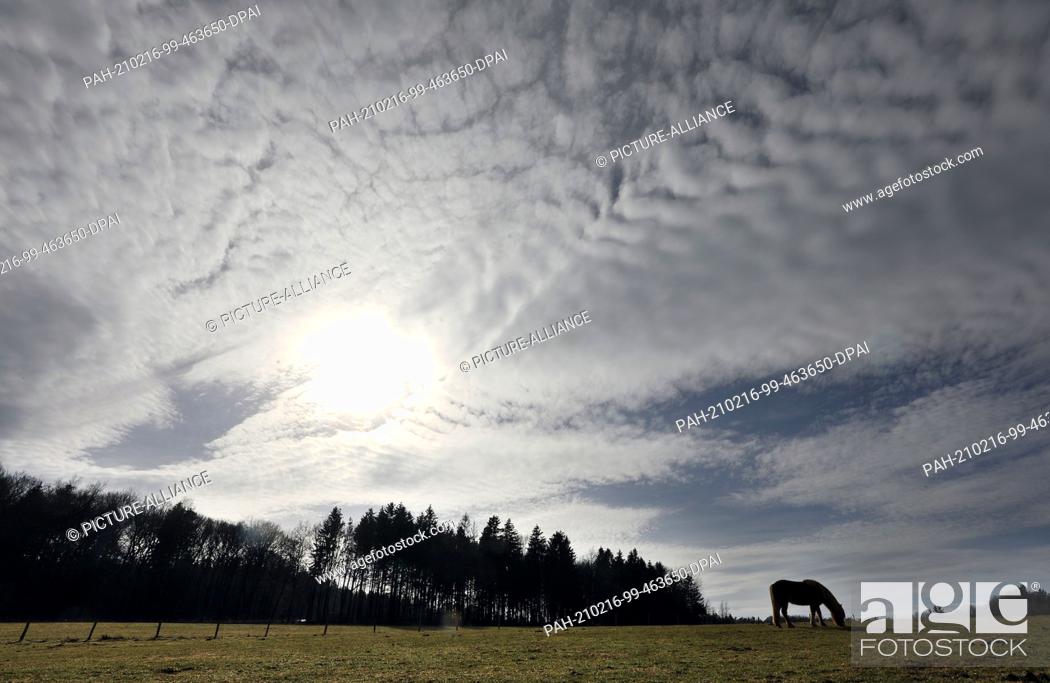 Stock Photo: 16 February 2021, North Rhine-Westphalia, Blankenheim: The sun shines through clouds over a field where a horse is grazing near Blamkenheim.