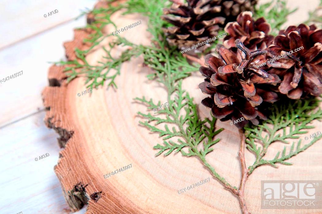 Stock Photo: Wooden board with leaves of thuja and pine cones on white wooden table.