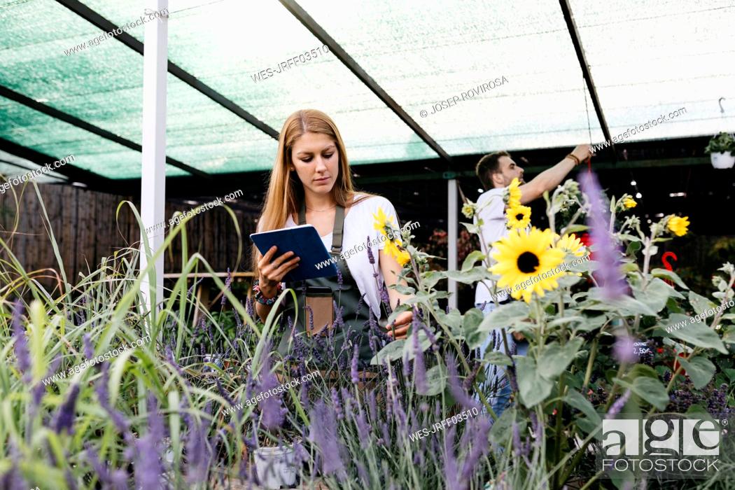 Stock Photo: Female worker in a garden center with a tablet caring for flowers.