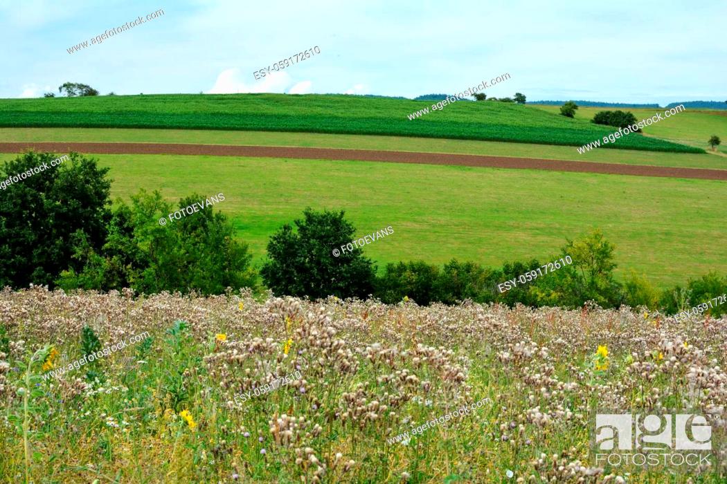 Stock Photo: High meadow in front of a green landscape with fields and trees and sky.
