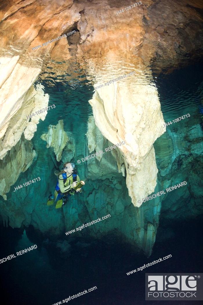 Stock Photo: Taucher in Chandelier Cave Unterwasser-Tropfsteinhöhle, Mikronesien, Palau, Diver in Chandelier Dripstone Cave, Micronesia, Palau.