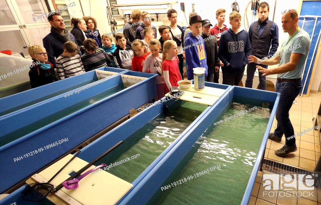Stock Photo: 18 December 2019, Mecklenburg-Western Pomerania, Born: Pupils from the Recknitz-Trebeltal elementary school in Tribsees stand in front of a shrimp rearing plant.