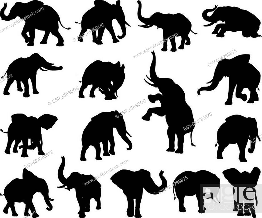 Stock Vector: Elephant Animal Silhouettes.