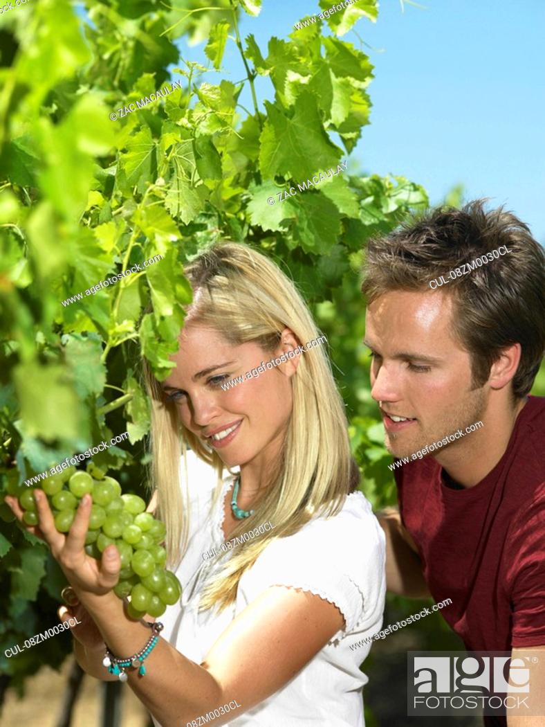 Stock Photo: Woman looking at grapes on vine.