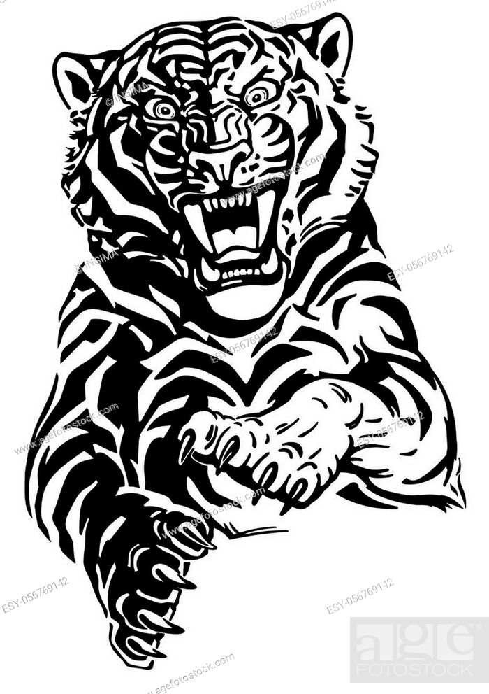 Angry leaping tiger. Jumping big cat. Front view. Black and white tattoo  style vector illustration, Stock Vector, Vector And Low Budget Royalty Free  Image. Pic. ESY-056769142 | agefotostock