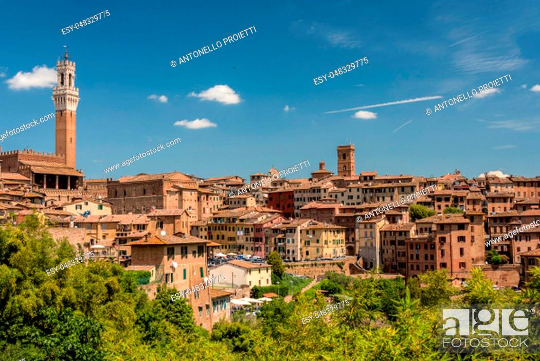 Stock Photo: View of Siena from south with the Mangia Tower.